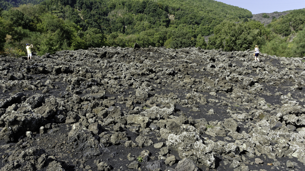 20231023 124552•Zafferana Etnea•Sicily•Italy